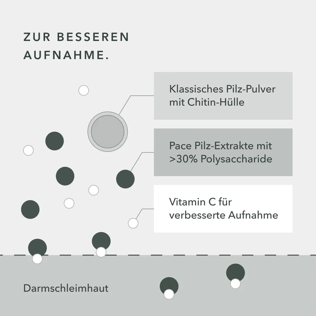 ais-image1.webp