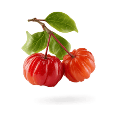 Acerola