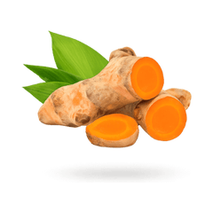 Kurkuma