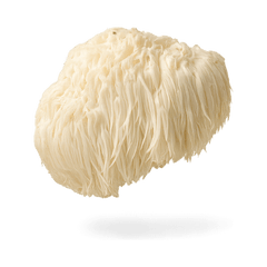 Lion's Mane